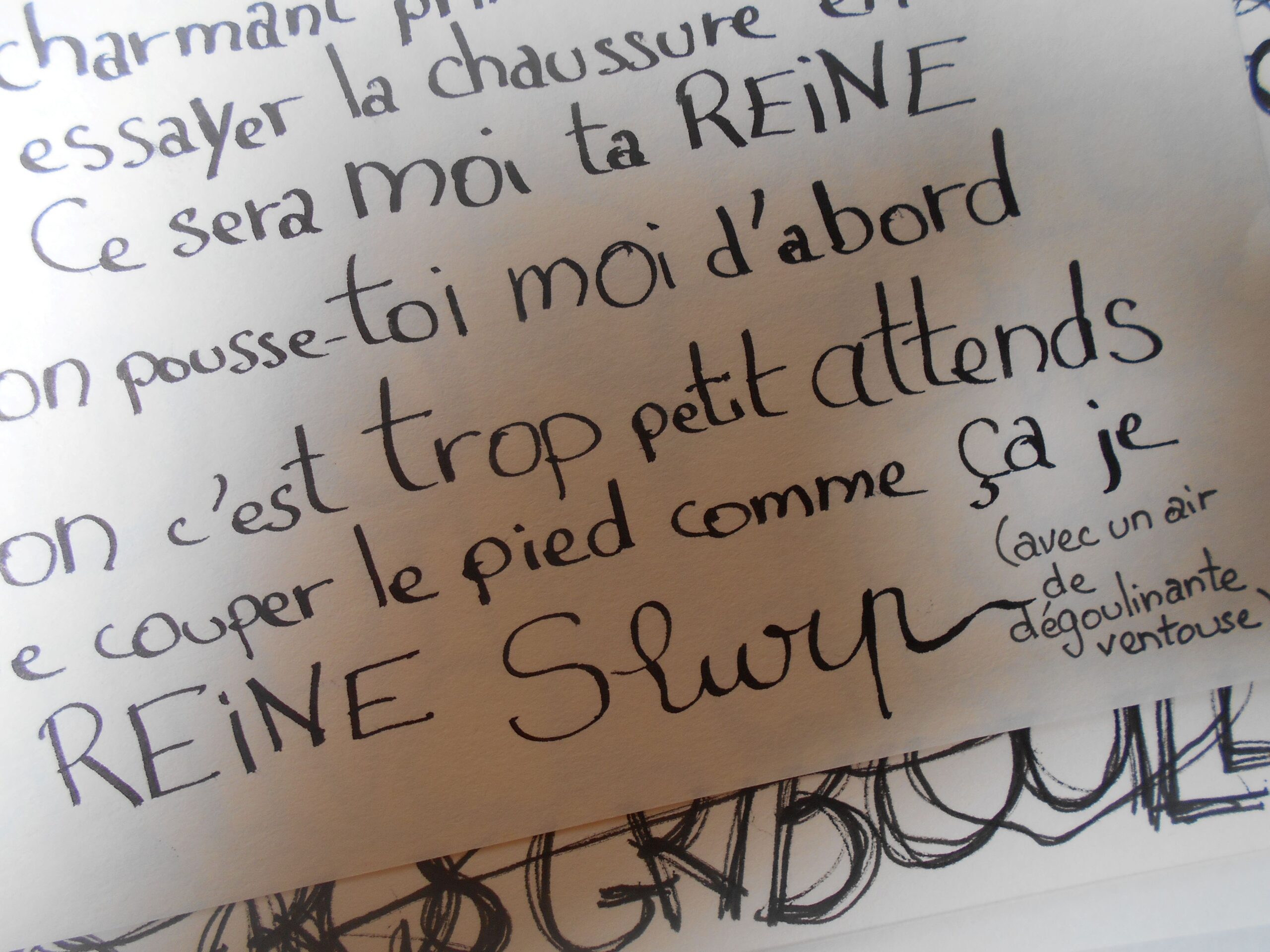Livre Cendrillon la Concon – Image 6